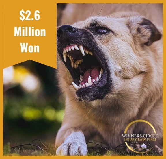 Dog Bite Injury Case